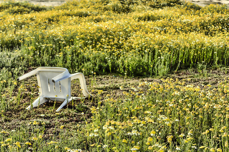 Abandoned Chair Digital Art by Photographic Art by Russel Ray Photos