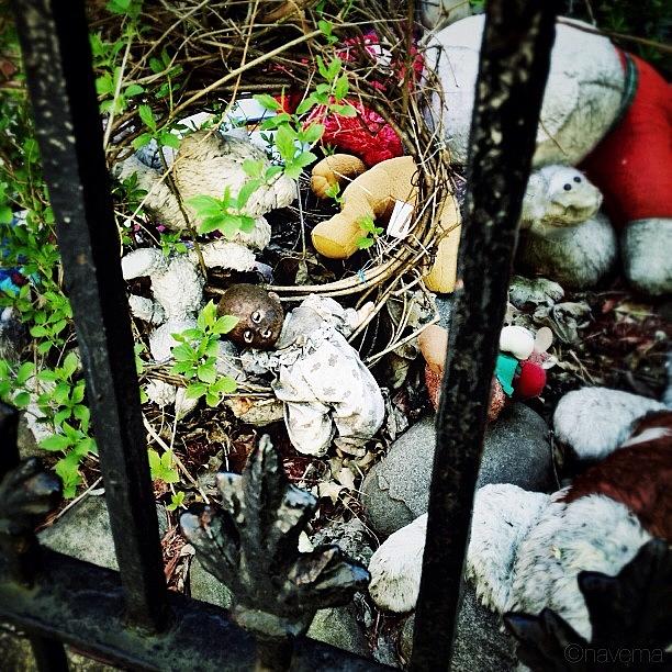 Abandoned Childhood Photograph by Natasha Marco