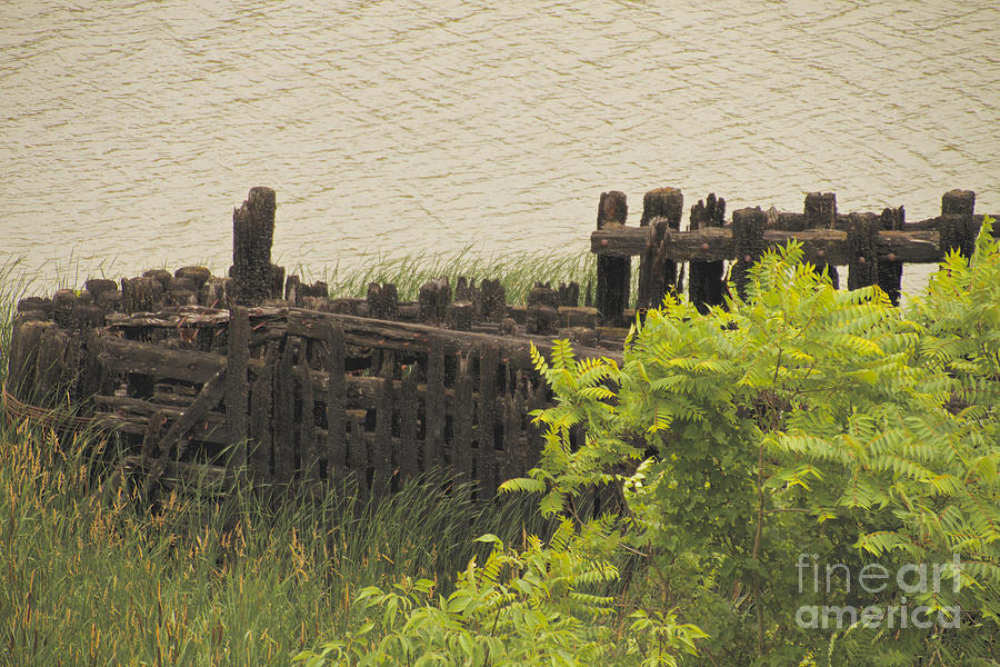 Abandoned Dock Photograph by William Norton