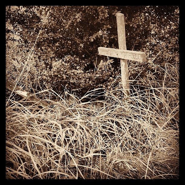 Morava Photograph - Abandoned Dogs Grave
#grave #cross by Jan Kratochvil