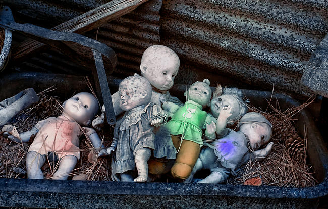 Abandoned Dolls Photograph by Cindy Archbell