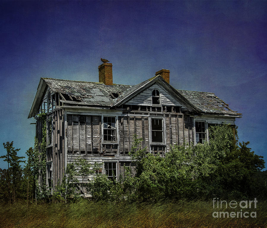 Vintage Photograph - Abandoned Dream by Terry Rowe