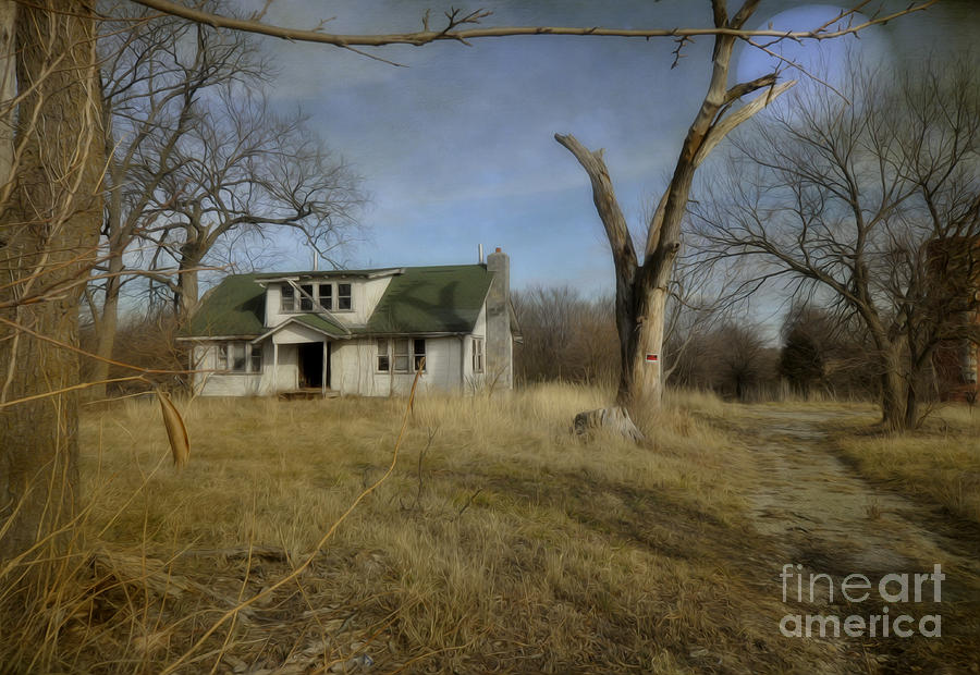 Tree Photograph - Abandoned Farm Home by Liane Wright