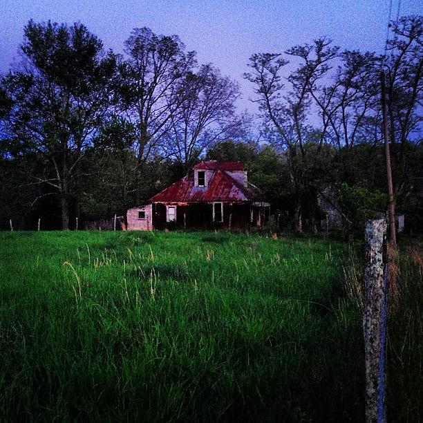 Abandoned Farm House In Nancy, Ky Photograph by Marsee Henon