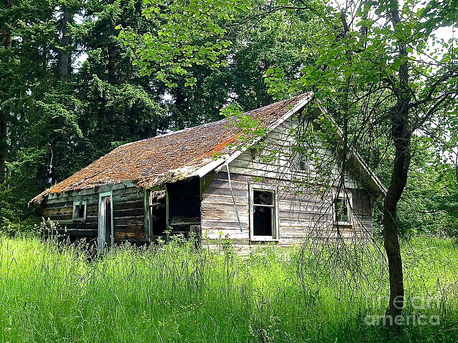 Abandoned Farm House Photograph by Sean Griffin