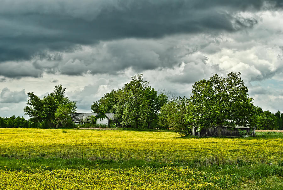Abandoned Farm in Spring Photograph by Greg Jackson