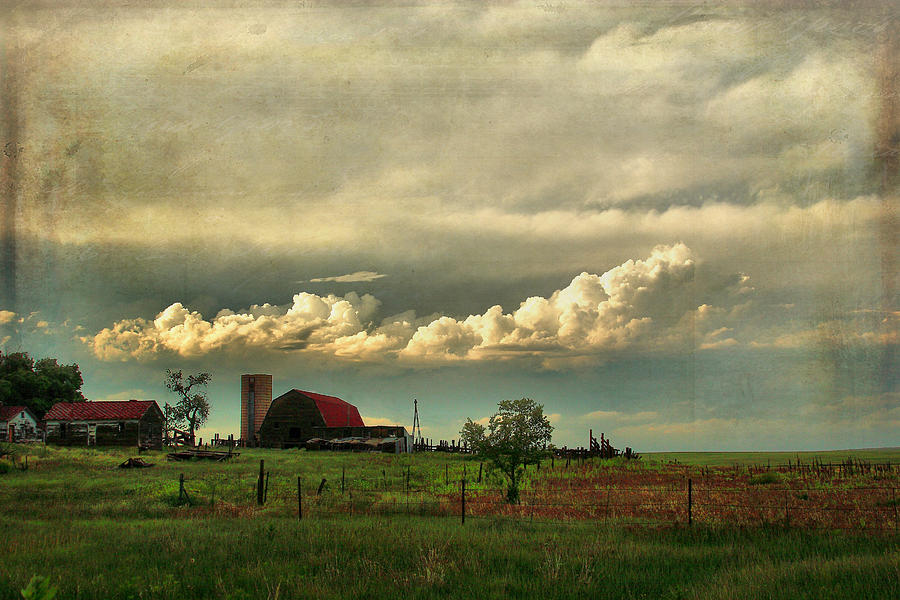 Abandoned Farm Photograph by Steven Reed