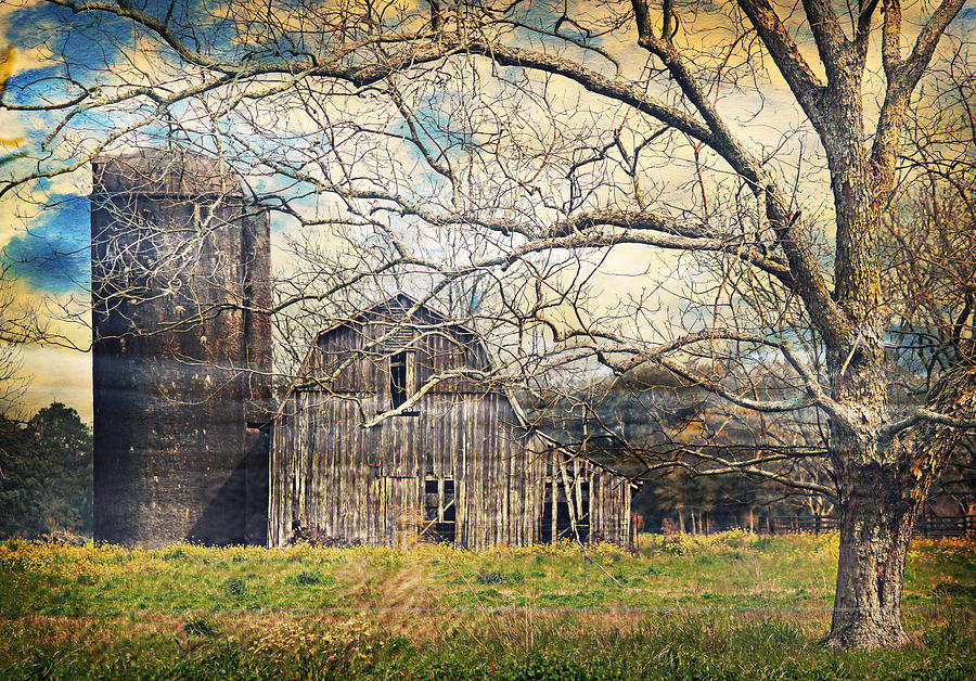 Abandoned Farm Photograph by Tara Richelle - Fine Art America