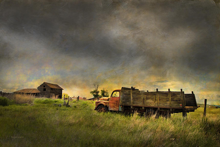 Abandoned Farm Truck Photograph by Theresa Tahara