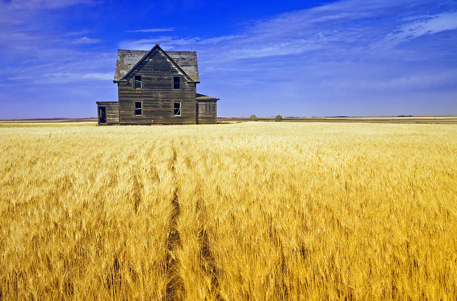 Abandoned Farmhouse Photograph by Dave Reede - Fine Art America