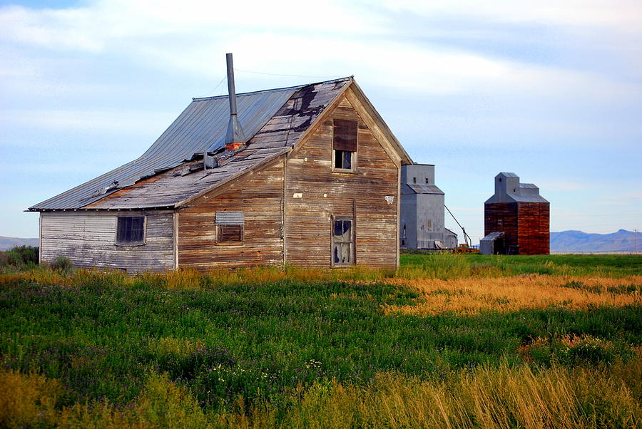 Abandoned Farmhouse Photograph by Mamie Gunning | Fine Art America