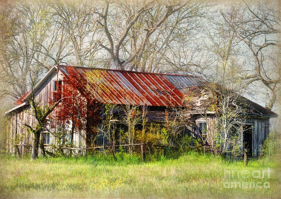 Abandoned Farmhouse Photograph by Savannah Gibbs