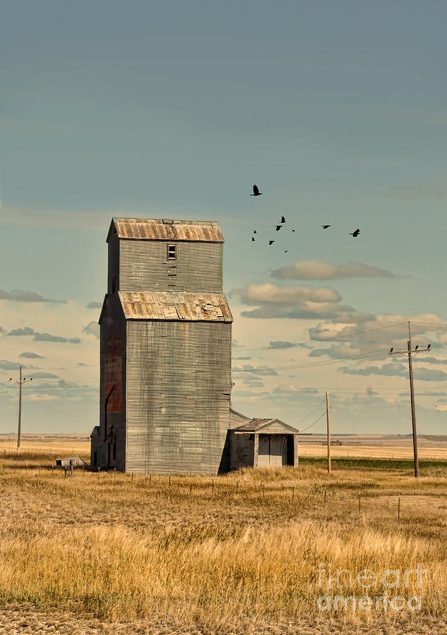 Abandoned Grain Elevator on the Prairie Photograph by Jill Battaglia