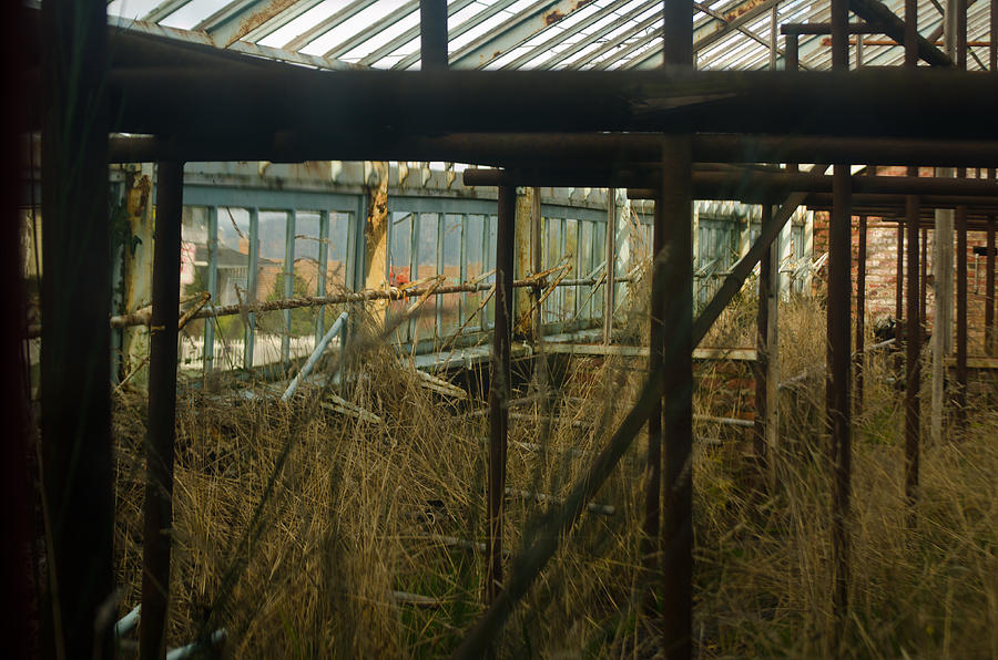Abandoned Greenhouse Photograph by Tikvahs Hope