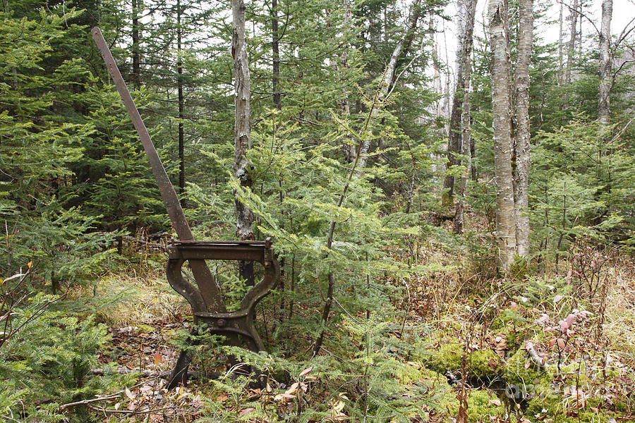 Abandoned Harp Switch Stand - New England USA Photograph by Erin Paul Donovan