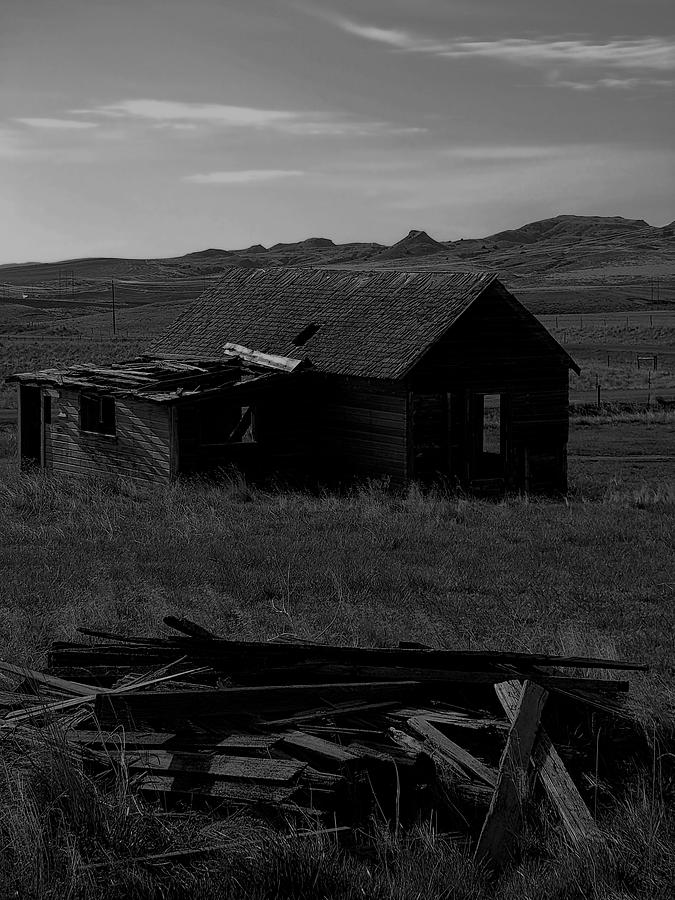 Abandoned HomeStead Wyoming bw Photograph by Cathy Anderson