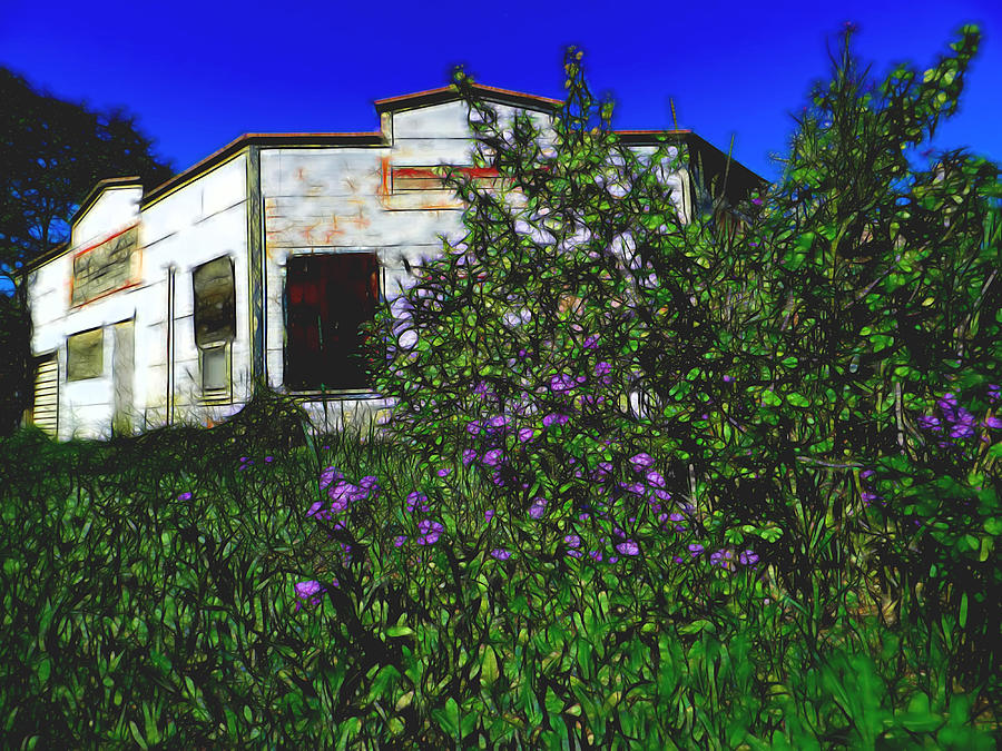 Abandoned Homestead Painted Digital Art by Cathy Anderson