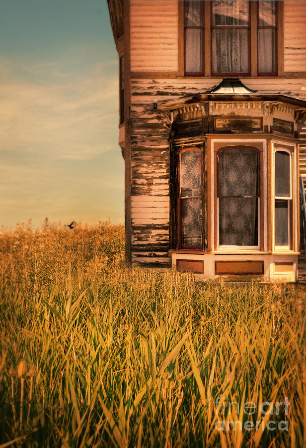 Architecture Photograph - Abandoned House in Grass by Jill Battaglia