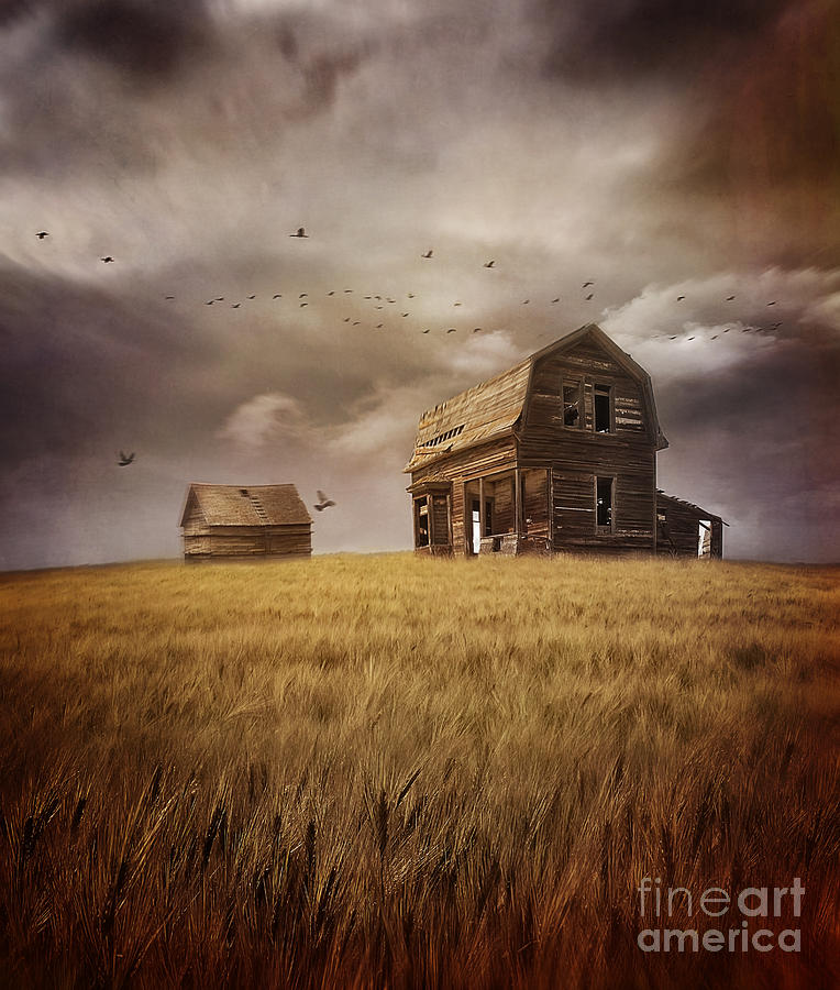 Fall Photograph - Abandoned house on the prairies in a field of wheat by Sandra Cunningham