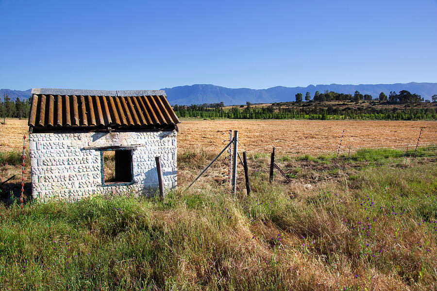 Abandoned Hut Among Fields, Ceres Photograph by Douglas Holder