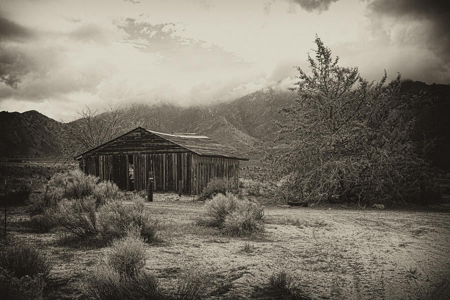 Abandoned in the Sierras Photograph by Hugh Smith