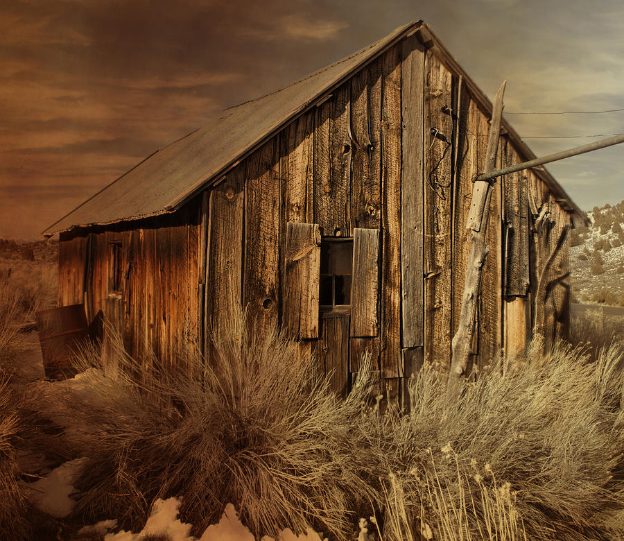 Abandoned in the West Photograph by Evie Carrier