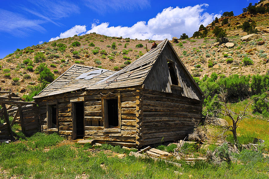 House Photograph - Abandoned Log Cabin by Don and Bonnie Fink House Photograph - Abandoned Log Cabin by Don and Bonnie Fink