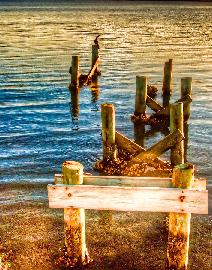 Abandoned Marina 63 Photograph by Michael Schwartzberg - Fine Art America