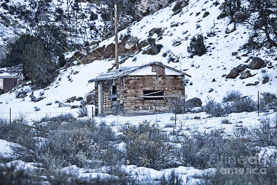 Abandoned Mountain Cabin Photograph by Douglas Barnard