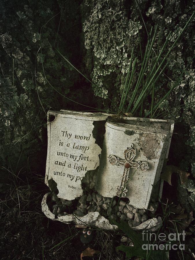 Bible Photograph - Abandoned old bible in a cemetery by Amy Cicconi