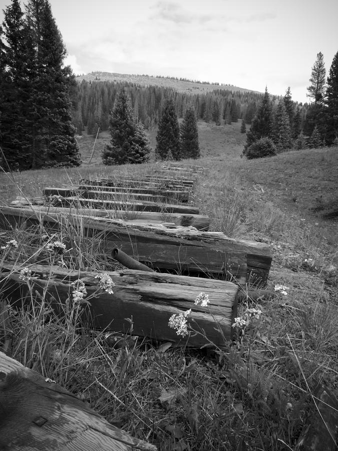 Abandoned Railroad Tracks Photograph