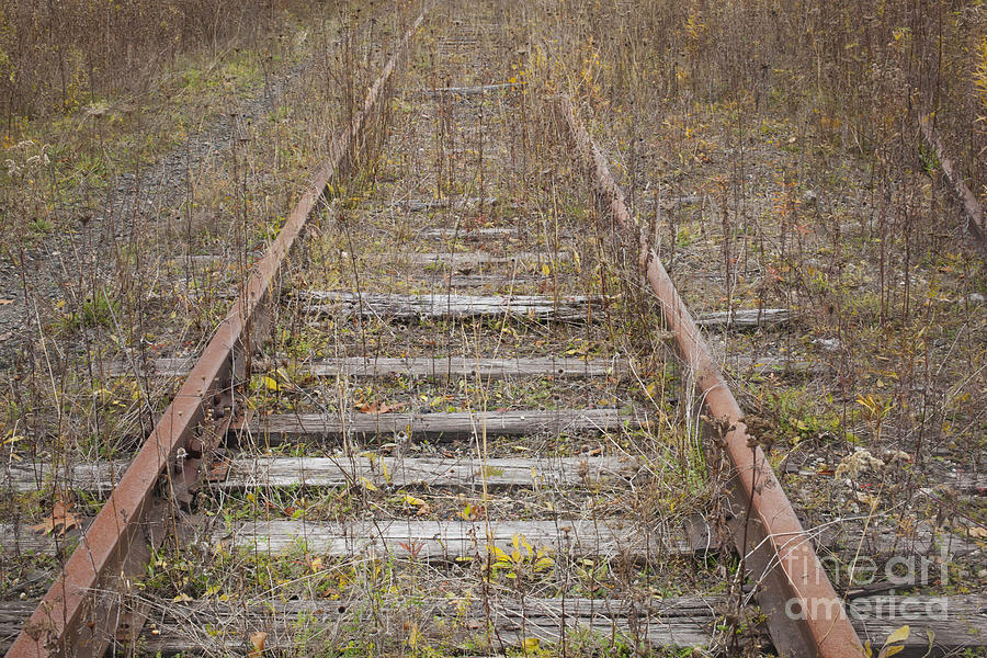 Abandoned Railroad Tracks Photograph by Jonathan Welch