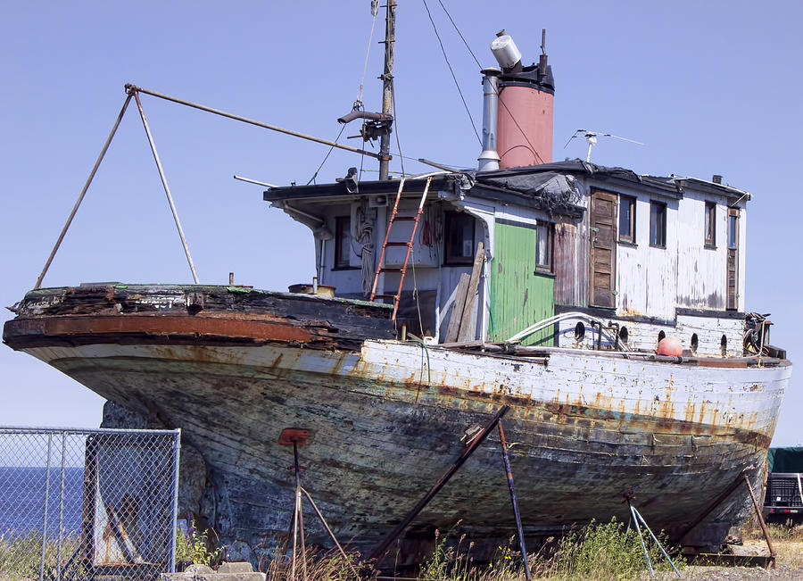 Abandoned Relic Boat Photograph by Cathy Anderson