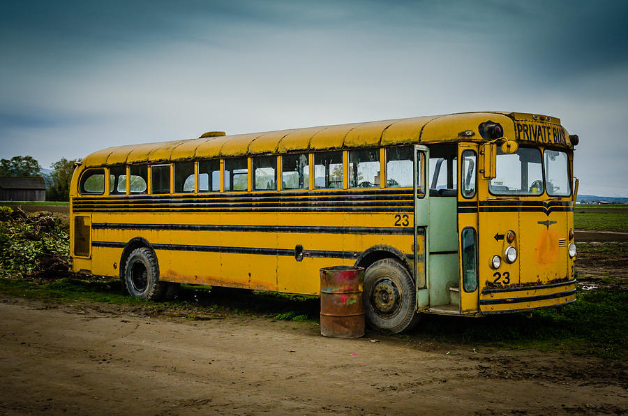 Кладбище школьных автобусов мангалиб