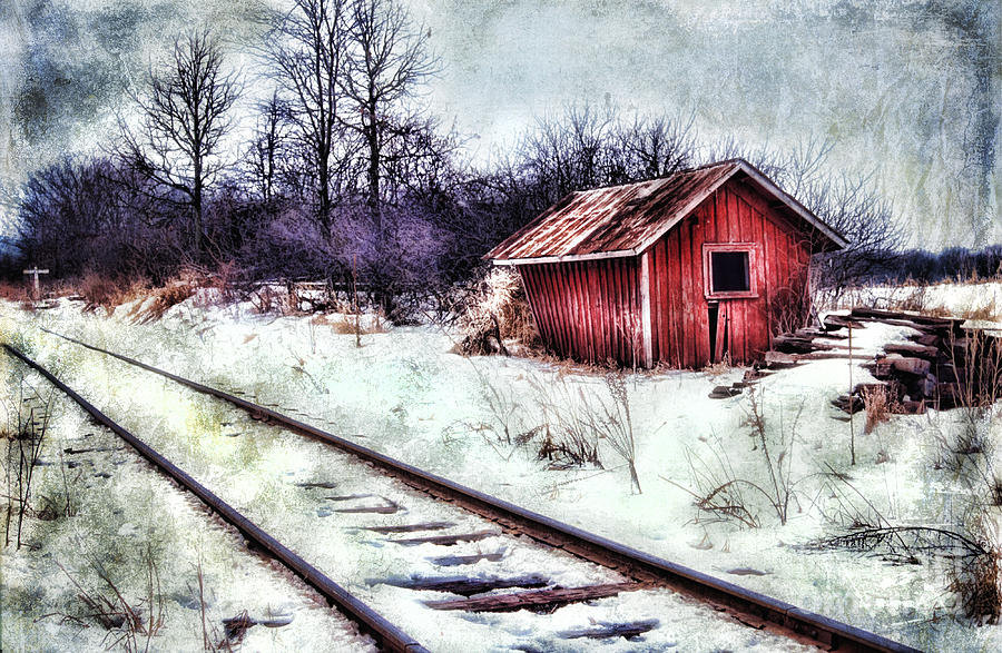 Abandoned Shack and Tracks Photograph by Clare VanderVeen