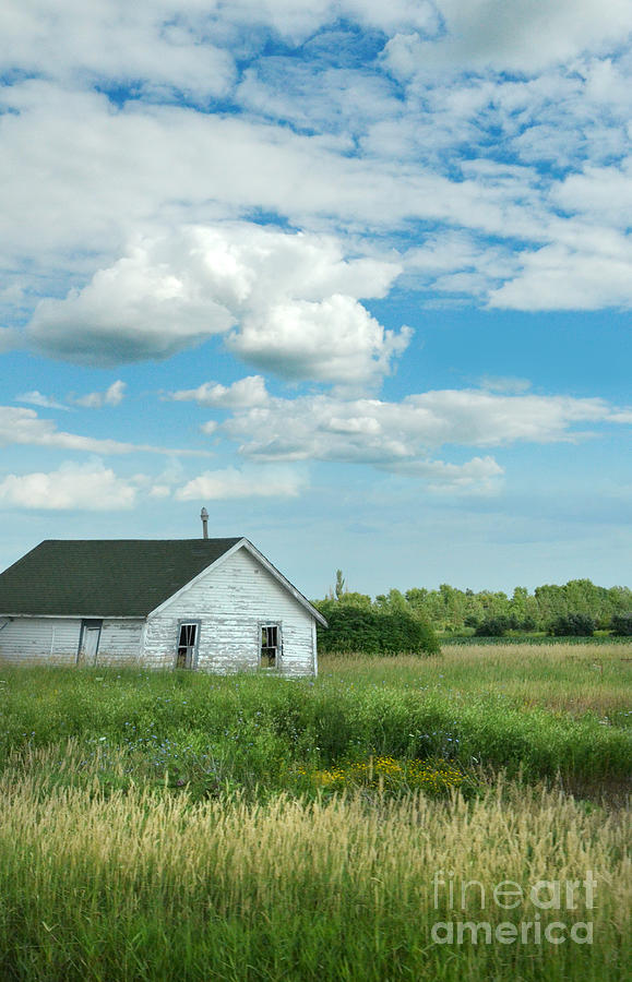 Abandoned Shack in the Country Photograph by Jill Battaglia