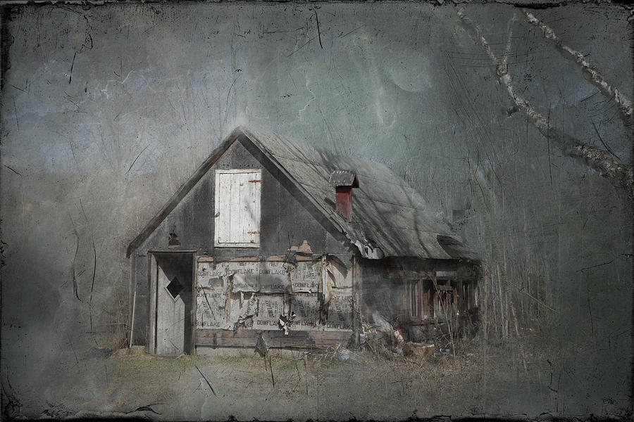 Abandoned Shack on Sugar Island Michigan Photograph by Evie Carrier