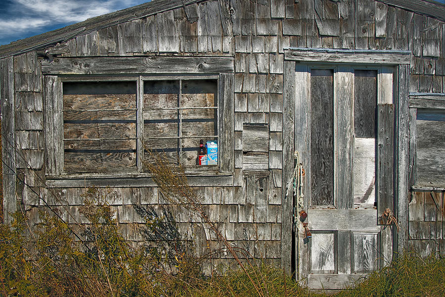 Abandoned Shack Owls Head Maine IMG 6111 Photograph by Greg Kluempers