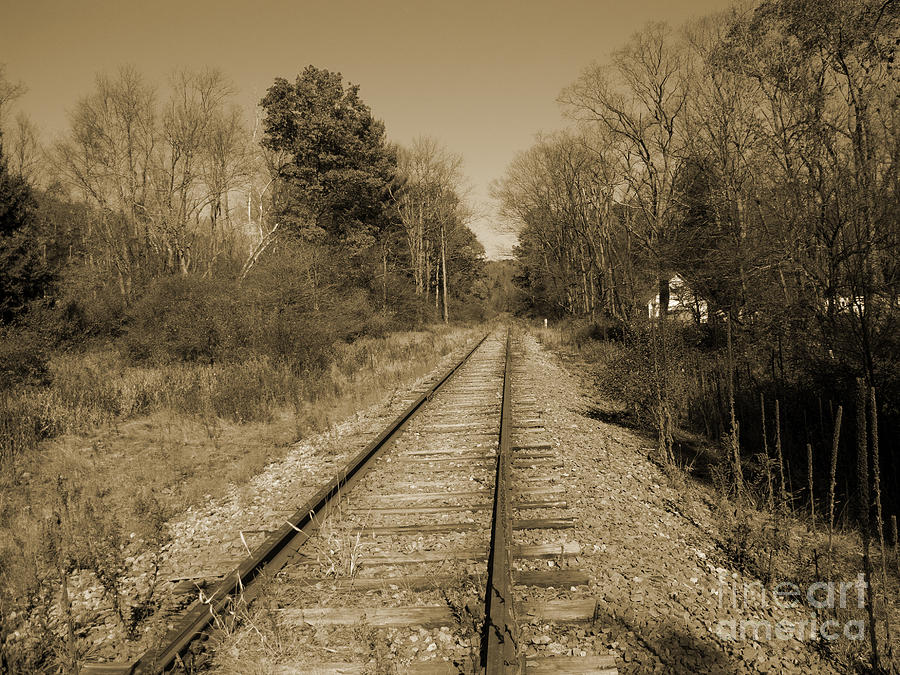 Abandoned Tracks Photograph by Arlene Carmel