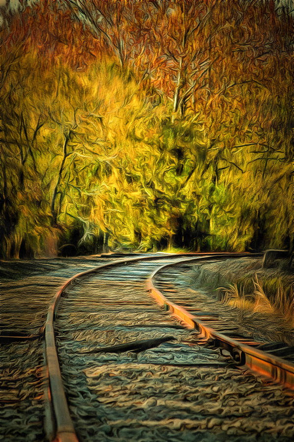 Abandoned Tracks Photograph by CarolLMiller Photography