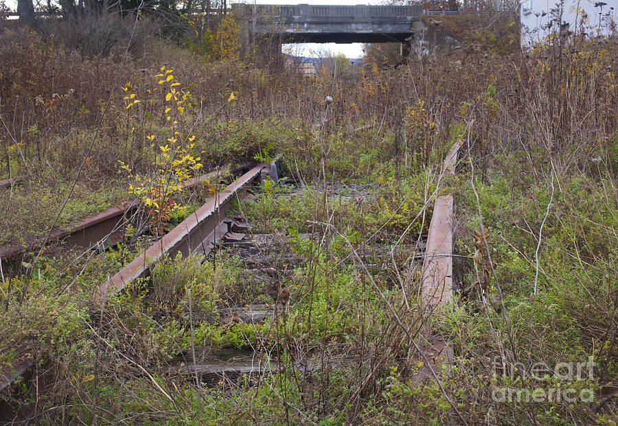 Abandoned Tracks Photograph by Jonathan Welch