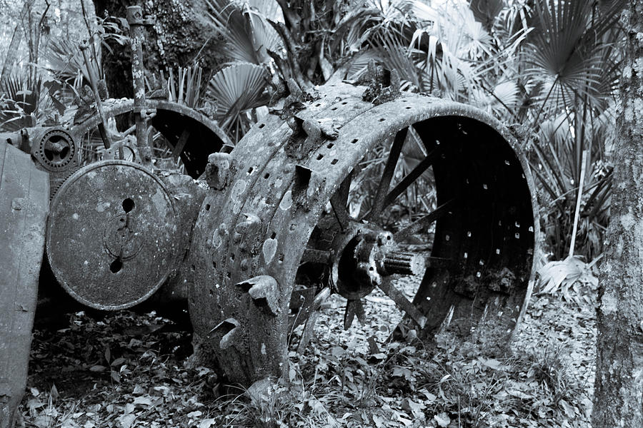 Abandoned Tractor Photograph by Shannon Harrington