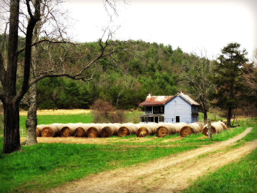 Farm Photograph - Abandoned VA 1 by Dark Whimsy