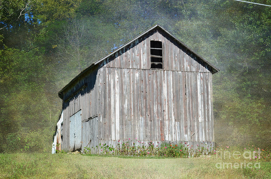 Abandoned Vintage Barn in Illinois Photograph by Luther Fine Art