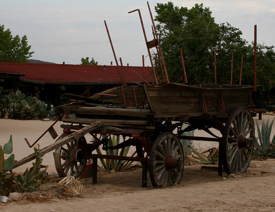Abandoned Wagon Photograph by Karen Harrison Brown