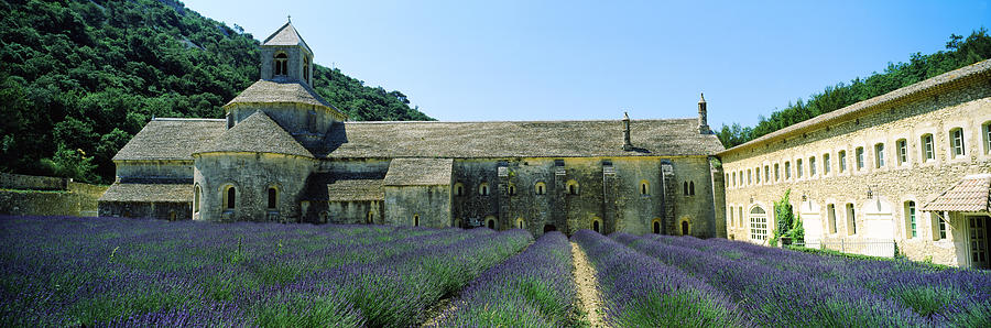 Architecture Photograph - Abbey In A Lavender Field, Abbaye De by Panoramic Images