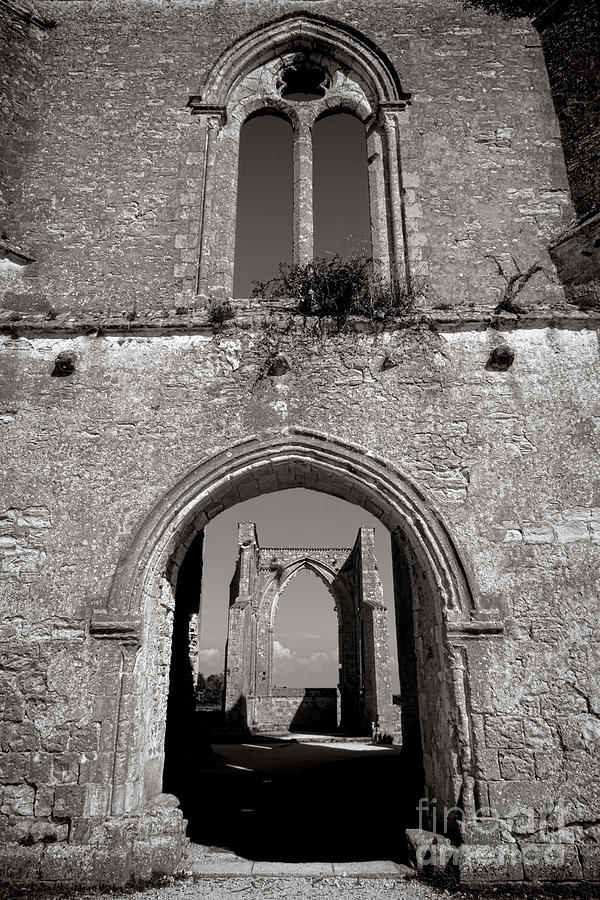Abbey Ruin  Photograph by Olivier Le Queinec