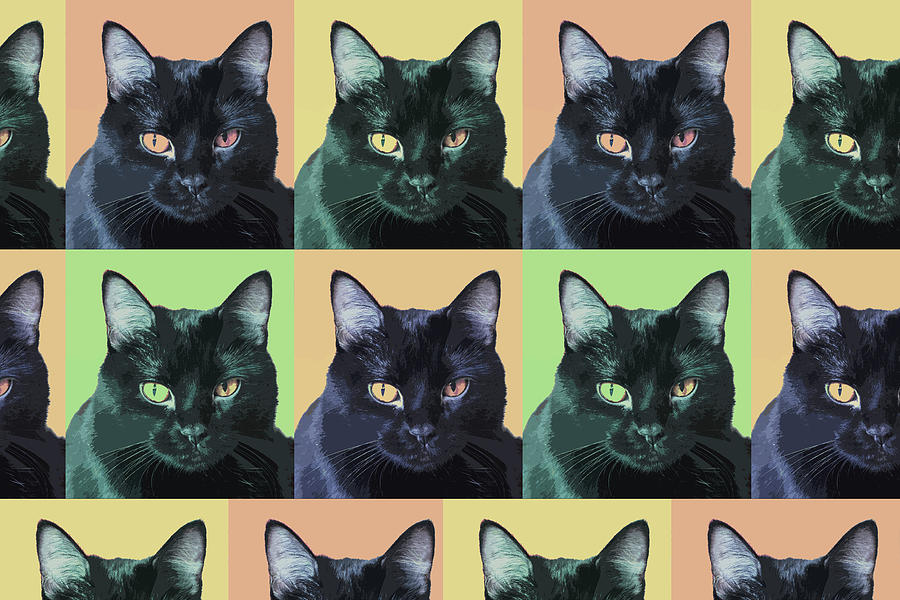 Many Cats Digital Art - Abby Cat Pop Art by Susan Stone
