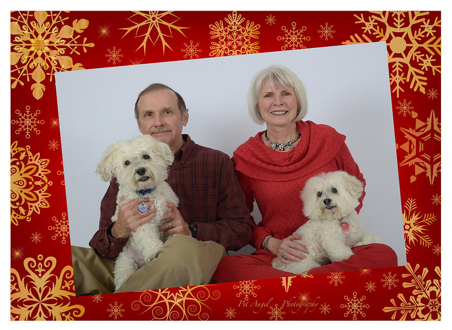 Abbys family Christmas card Photograph by Irina ArchAngelSkaya