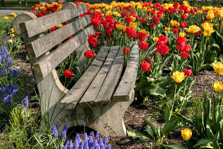 Flower Photograph - Abducted Park Bench by Gene Walls